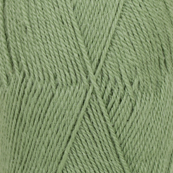 Flora